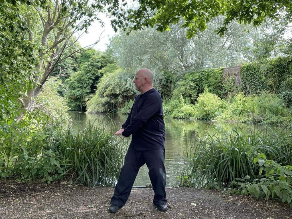 Fishes-in-8-side-1024x768-1